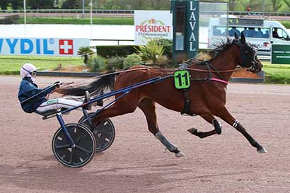 Photo d'arrivée de la course pmu PRIX DU HARAS DE LA PAUMARDIERE (PRIX DE LA FEDERATION ANJOU-MAINE-CENTRE-OUEST) à LAVAL le Mercredi 11 mars 2026