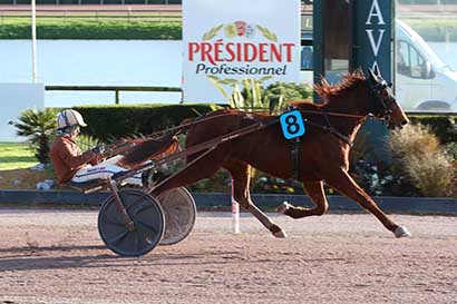 Photo d'arrivée de la course pmu PRIX DU HARAS D'HAUFOR-PRIX DE LA SNCTEF (PRIX WWW.LAMAYENNE.FR) à LAVAL le Mercredi 11 mars 2026