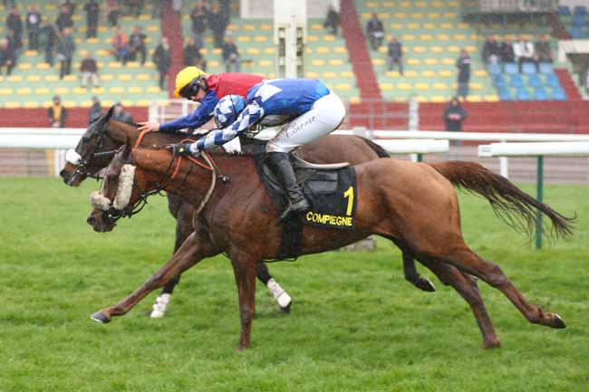 Photo d'arrivée de la course pmu PRIX DU CARREFOUR DE L'OBELISQUE à COMPIEGNE le Mercredi 11 mars 2026