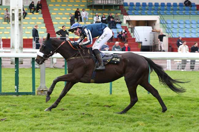 Photo d'arrivée de la course pmu PRIX RABASTENS à COMPIEGNE le Mercredi 11 mars 2026