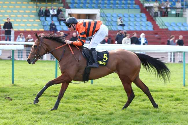 Photo d'arrivée de la course pmu PRIX STRADA à COMPIEGNE le Mercredi 11 mars 2026
