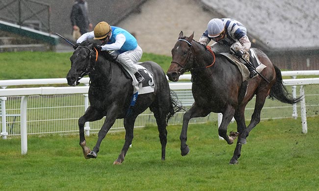 Photo d'arrivée de la course pmu PRIX DES BARNOLETS à FONTAINEBLEAU le Vendredi 13 mars 2026