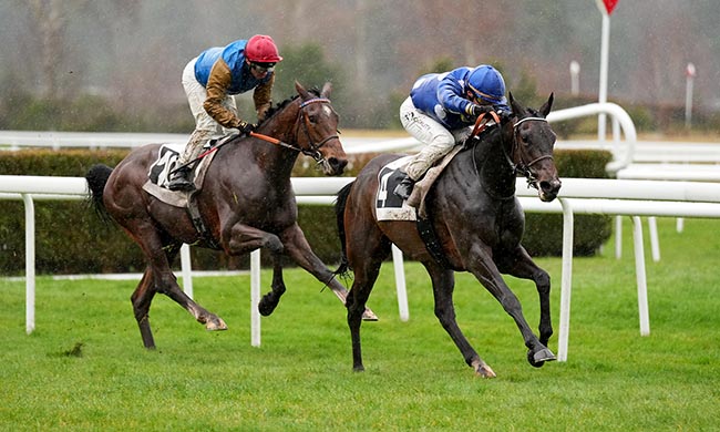 Photo d'arrivée de la course pmu PRIX DE LA PLATRIERE D'APREMONT à FONTAINEBLEAU le Vendredi 13 mars 2026