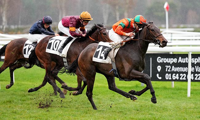 Photo d'arrivée de la course pmu PRIX DU ROCHER DE BOULIGNY à FONTAINEBLEAU le Vendredi 13 mars 2026