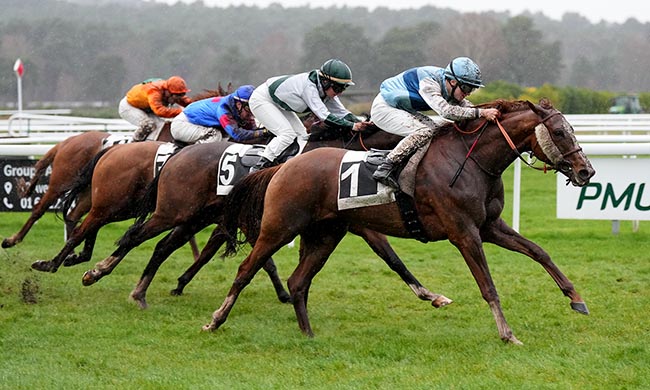 Photo d'arrivée de la course pmu PRIX DU ROCHER DES DEMOISELLES à FONTAINEBLEAU le Vendredi 13 mars 2026