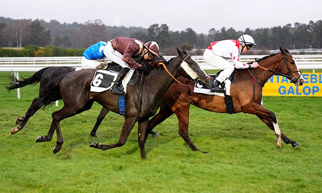 Photo d'arrivée de la course pmu PRIX DES SEQUOIAS à FONTAINEBLEAU le Vendredi 13 mars 2026