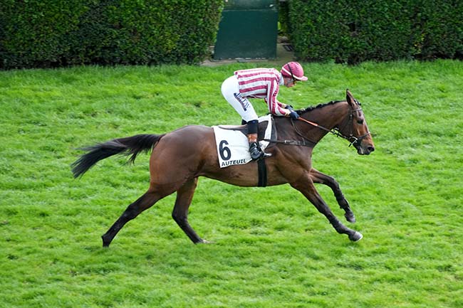 Photo d'arrivée de la course pmu PRIX ALEC CARTER à AUTEUIL le Samedi 14 mars 2026