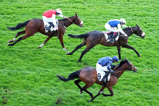 Photo d'arrivée de la course pmu PRIX RUSH à AUTEUIL le Samedi 14 mars 2026