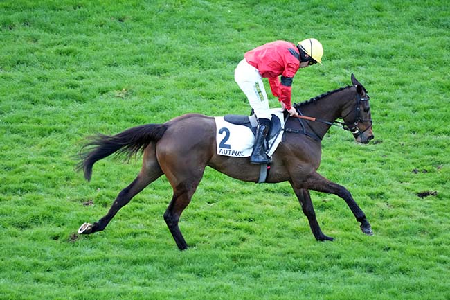 Photo d'arrivée de la course pmu PRIX AIR LANDAIS à AUTEUIL le Samedi 14 mars 2026