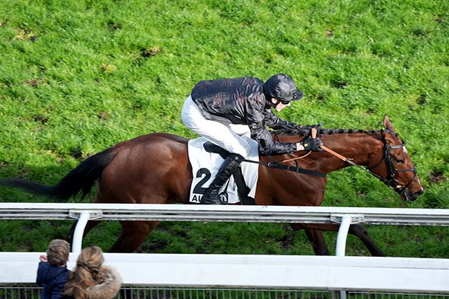 Photo d'arrivée de la course pmu PRIX AURICULA à AUTEUIL le Samedi 14 mars 2026