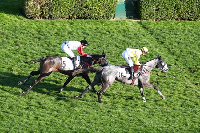 Photo d'arrivée de la course pmu PRIX DE DINARD à AUTEUIL le Samedi 14 mars 2026