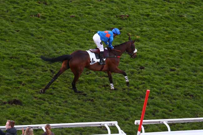 Photo d'arrivée de la course pmu PRIX HUBERT DE NAVAILLES à AUTEUIL le Samedi 14 mars 2026