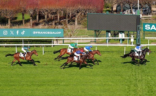 Photo d'arrivée de la course pmu PRIX TERTULLIEN à SAINT CLOUD le Dimanche 15 mars 2026