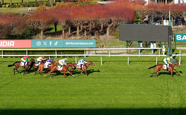 Photo d'arrivée de la course pmu PRIX LA CAMARGO à SAINT CLOUD le Dimanche 15 mars 2026