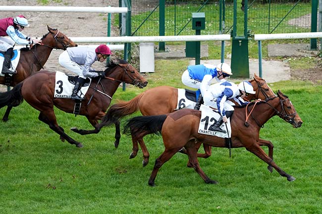 Photo d'arrivée de la course pmu PRIX RONDE DE NUIT à CHANTILLY le Lundi 16 mars 2026