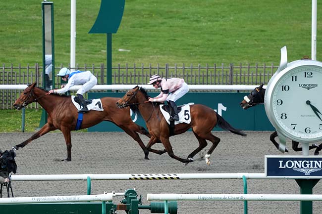 Photo d'arrivée de la course pmu PRIX DE PUISEUX-EN-FRANCE à CHANTILLY le Lundi 16 mars 2026