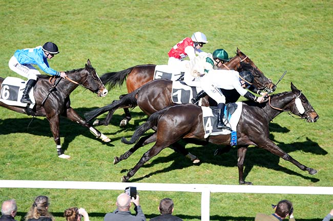 Photo d'arrivée de la course pmu PRIX DES HAUTEURS DE LA SOLLE à FONTAINEBLEAU le Mardi 17 mars 2026