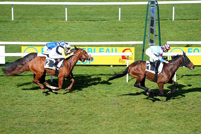 Photo d'arrivée de la course pmu PRIX DE VULAINES-SUR-SEINE à FONTAINEBLEAU le Mardi 17 mars 2026