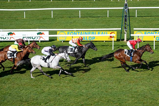 Photo d'arrivée de la course pmu PRIX EUGENIE DE MONTIJO à FONTAINEBLEAU le Mardi 17 mars 2026