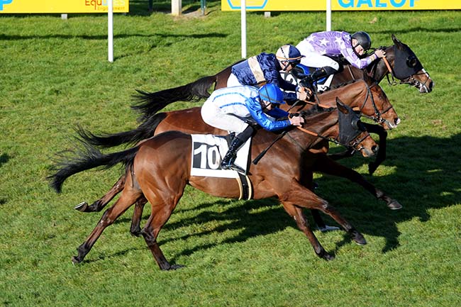 Photo d'arrivée de la course pmu PRIX DE LA DAME JOUANNE à FONTAINEBLEAU le Mardi 17 mars 2026