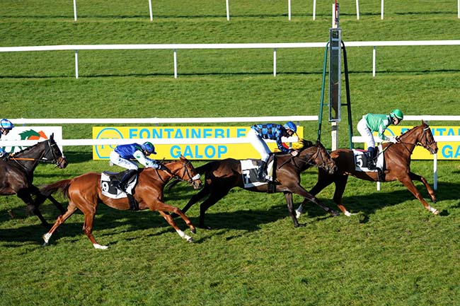 Photo d'arrivée de la course pmu PRIX DE LA FONTAINE DESIREE - HANDICAP CHALLENGE à FONTAINEBLEAU le Mardi 17 mars 2026