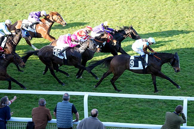 Photo d'arrivée de la course pmu PRIX DE LARCHANT à FONTAINEBLEAU le Mardi 17 mars 2026