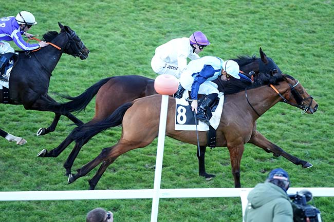 Photo d'arrivée de la course pmu PRIX DE FONTAINE-LE-PORT à FONTAINEBLEAU le Mardi 17 mars 2026