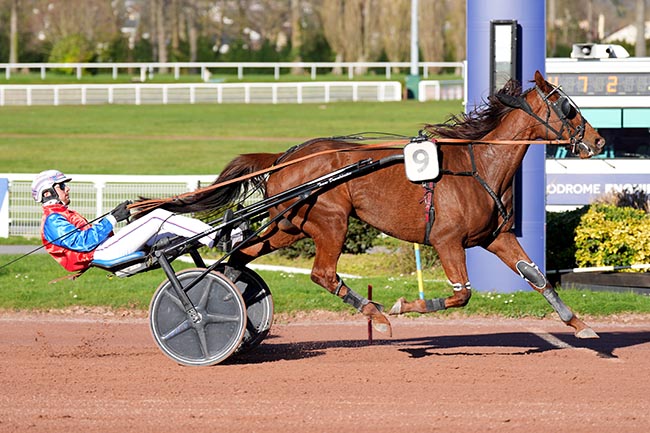 Photo d'arrivée de la course pmu PRIX DES COTES D'ARMOR à ENGHIEN le Mardi 17 mars 2026