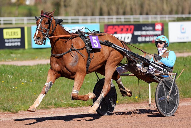 Arrivée quinté pmu PRIX DE LA VILLE DE VIRE NORMANDIE à VIRE