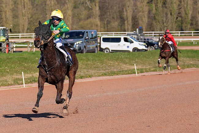 Photo d'arrivée de la course pmu PRIX DU BAR-PMU DE L'HOTEL DE VILLE - AUNAY-SUR-ODON à VIRE le Mercredi 18 mars 2026