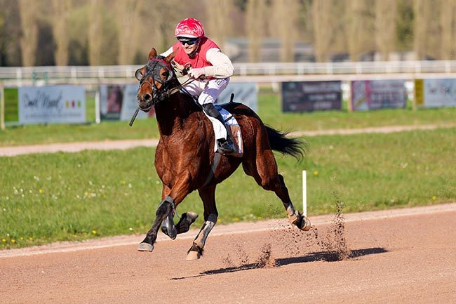 Photo d'arrivée de la course pmu PRIX DES MESSAGERIES LAITIERES - VIRE NORMANDIE à VIRE le Mercredi 18 mars 2026