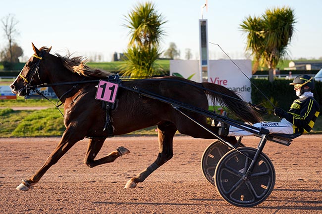 Photo d'arrivée de la course pmu PRIX DU BAR-PMU LE DERBY - VIRE NORMANDIE à VIRE le Mercredi 18 mars 2026