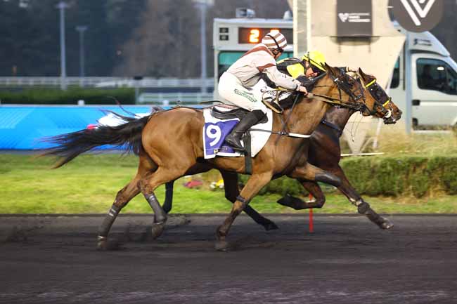 Photo d'arrivée de la course pmu PRIX ALI HAWAS - ETRIER 3 ANS Q1 à PARIS-VINCENNES le Vendredi 20 mars 2026