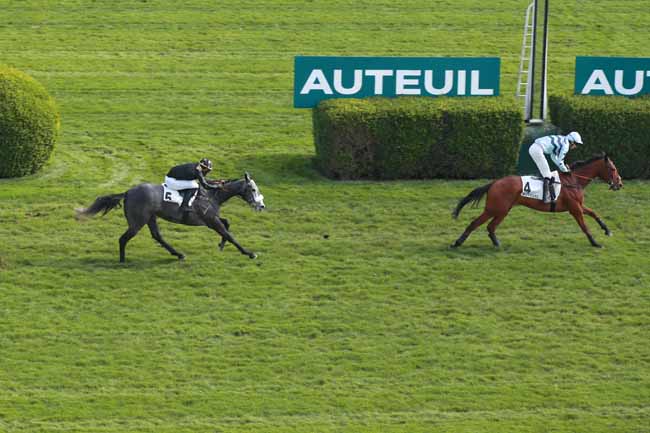 Photo d'arrivée de la course pmu PRIX MITSOUKO III à AUTEUIL le Dimanche 22 mars 2026
