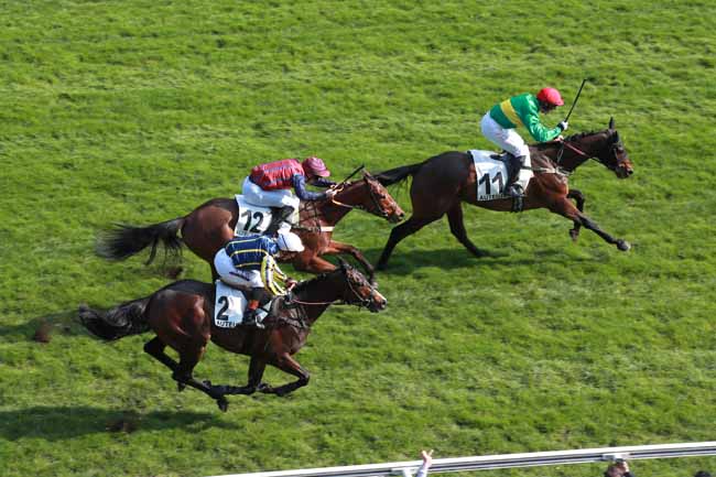 Photo d'arrivée de la course pmu PRIX ALCIDE à AUTEUIL le Dimanche 22 mars 2026