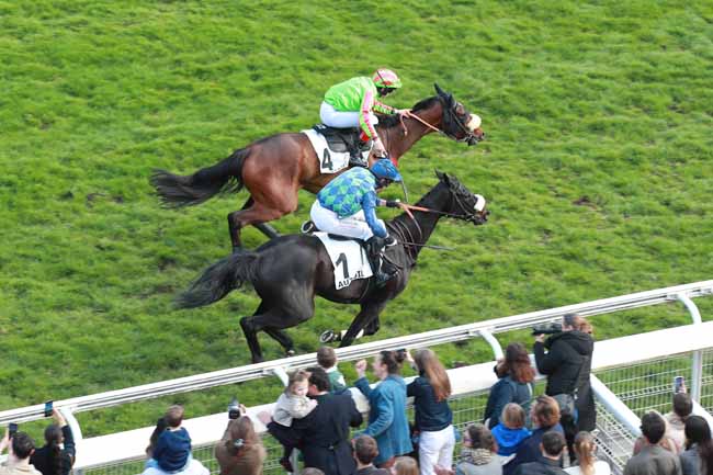 Photo d'arrivée de la course pmu PRIX LA BARKA à AUTEUIL le Dimanche 22 mars 2026