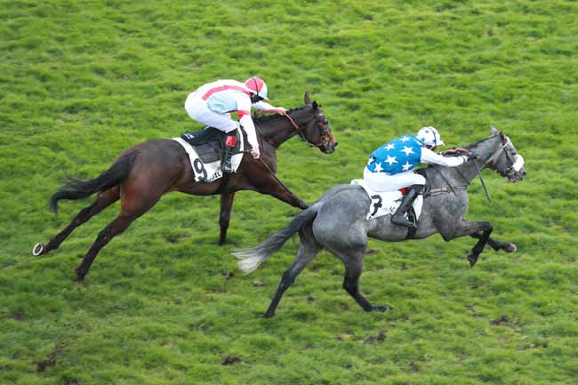 Photo d'arrivée de la course pmu PRIX GUY HUNAULT à AUTEUIL le Dimanche 22 mars 2026