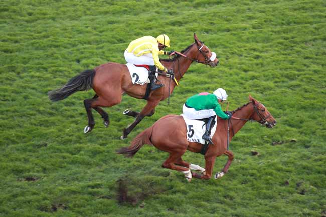 Photo d'arrivée de la course pmu PRIX SAMARITAIN à AUTEUIL le Dimanche 22 mars 2026