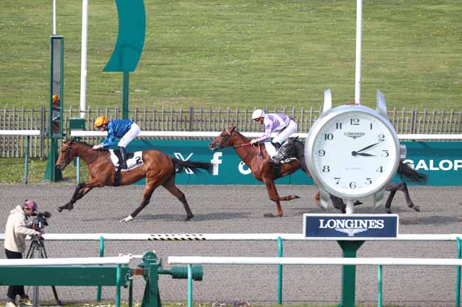 Photo d'arrivée de la course pmu PRIX DU BASSIN DES SERRURIERS à CHANTILLY le Lundi 23 mars 2026