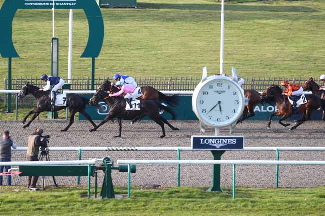 Photo d'arrivée de la course pmu PRIX DU HARAS AU BOIS à CHANTILLY le Lundi 23 mars 2026