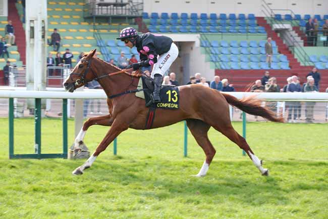Photo d'arrivée de la course pmu PRIX MASTER BOB à COMPIEGNE le Lundi 23 mars 2026