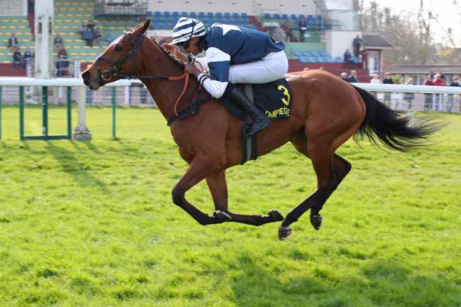 Photo d'arrivée de la course pmu PRIX DE BRISSAC à COMPIEGNE le Lundi 23 mars 2026