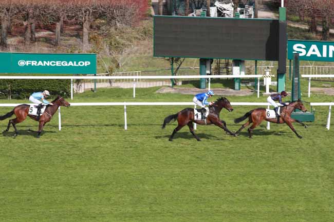 Photo d'arrivée de la course pmu PRIX DU DEBUT à SAINT CLOUD le Mardi 24 mars 2026
