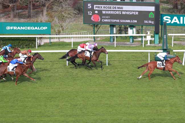 Photo d'arrivée de la course pmu PRIX ROSE DE MAI à SAINT CLOUD le Mardi 24 mars 2026
