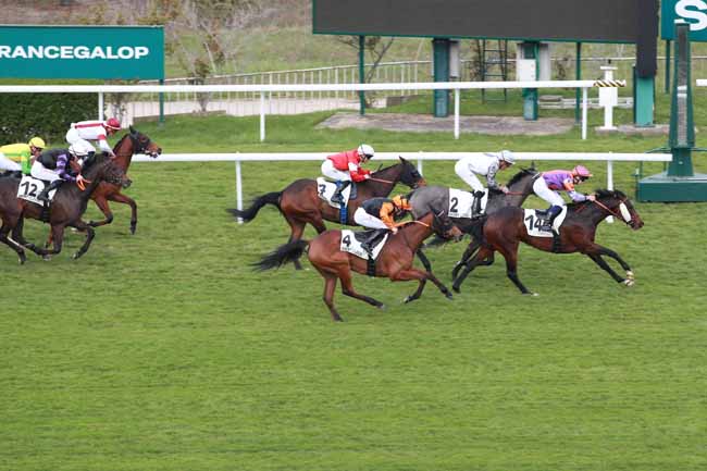 Photo d'arrivée de la course pmu PRIX D'ESTIMAUVILLE à SAINT CLOUD le Mardi 24 mars 2026
