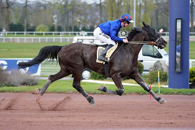 Photo d'arrivée de la course pmu PRIX DU PONT DU CARROUSEL à ENGHIEN le Mardi 24 mars 2026