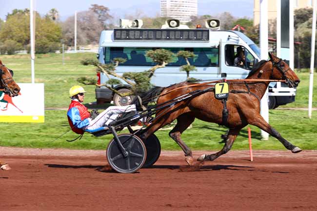 Arrivée quinté pmu GRAND NATIONAL DU TROT - PRIX BULLE DE LAUMONT à MARSEILLE BORELY