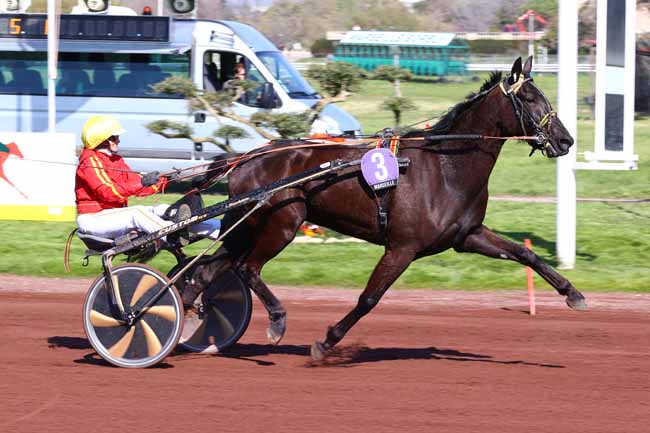 Photo d'arrivée de la course pmu PRIX APRION à MARSEILLE BORELY le Mercredi 25 mars 2026