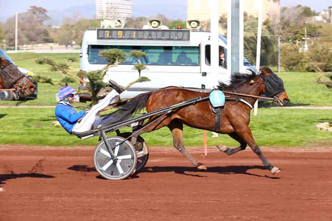 Photo d'arrivée de la course pmu PRIX BAR TABAC DES PLATANES à MARSEILLE BORELY le Mercredi 25 mars 2026