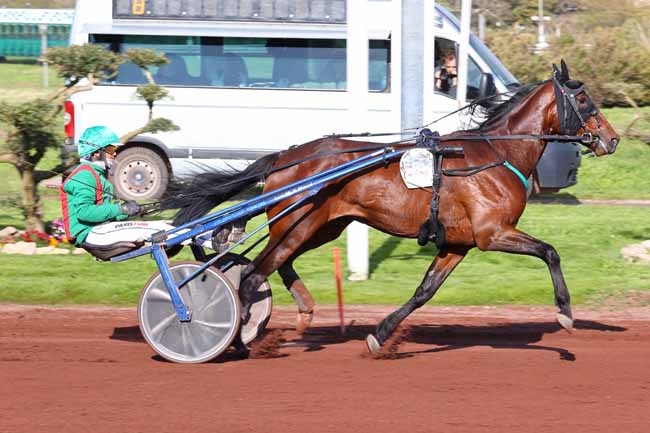 Photo d'arrivée de la course pmu PRIX HORCHESTRO à MARSEILLE BORELY le Mercredi 25 mars 2026